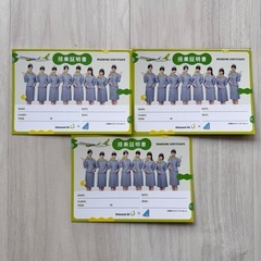 【新品未使用】 ソラシドエア限定 日向坂46 搭乗証明書 ３枚セット