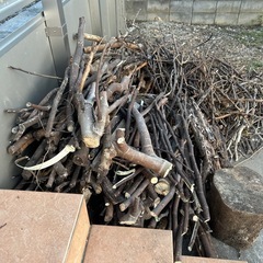 色々な木の切り枝、切り株の画像