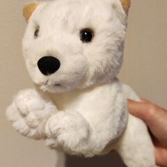 宮城蔵王キツネ村のキツネのぬいぐるみ