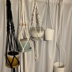 お譲り先決まりましたの画像