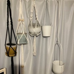 お譲り先決まりました