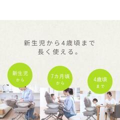 緊急値下げ!ワンコイン中古 Aprica アップリカ ハイローベット&チェア ユラリズムクッション

(※新生児敷パッド無)の画像