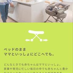 緊急値下げ!ワンコイン中古 Aprica アップリカ ハイローベット&チェア ユラリズムクッション

(※新生児敷パッド無)の画像