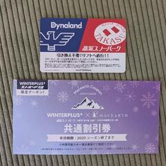 高鷲スノーパーク ダイナランド 共通 リフト券 (複数枚必要な方...