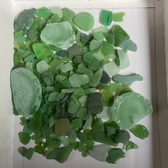 シーグラス 9kgの画像