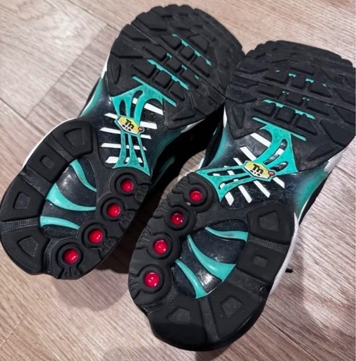 Nike AIR MAX PLUS 27.5㎝