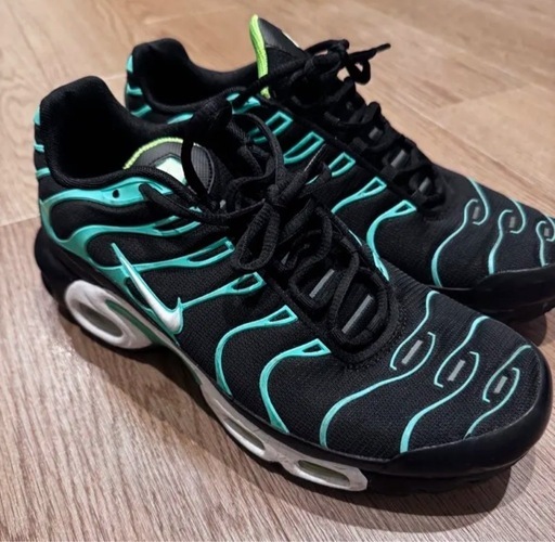 Nike AIR MAX PLUS 27.5㎝