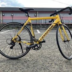 Cannondale CAAD8 51size クロスバイクの画像