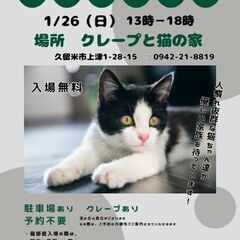 保護猫譲渡会1/26(日)