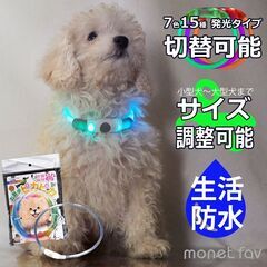 犬　お散歩ぴかぴか　夜散歩安全　ハサミで切るだけ簡単サイズ調整　...