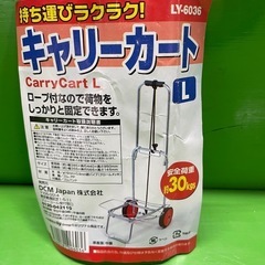 売約済み★美品　折りたたみキャリーカート　手引きの画像