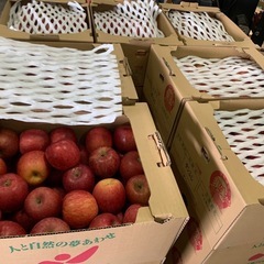 訳ありりんご長野県産の画像