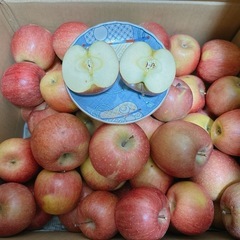 訳ありりんご長野県産の画像