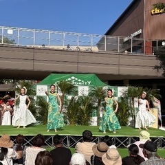 横浜フラ教室　初心者向け体験会開催