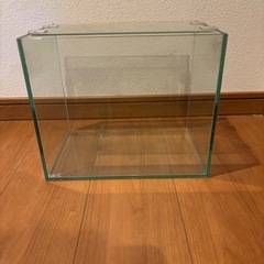 (取引者決定)水槽4個　外掛けフィルター大量セット の画像