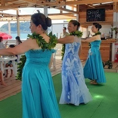 蒲田フラ教室　新規生徒さん大募集🌴