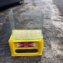 アクアシステム水槽