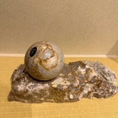 信楽焼の壺と大理石置物のセットの画像
