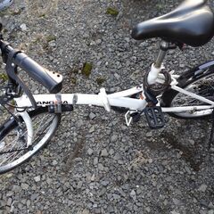 PANGAEA 94201 折りたたみ自転車 ノーパンク (パンゲア)
