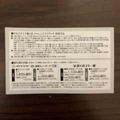 ダイナランドワンコインナイター券の画像