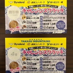 ダイナランドワンコインナイター券