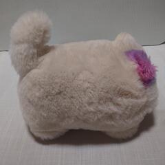 ニャンだきみは！？ ぬいぐるみの画像