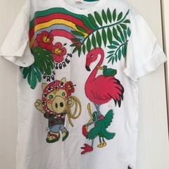 【drug store's】Fサイズ（3L寄りのLL）半袖　日本...
