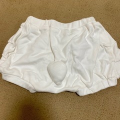 綺麗　D アルパカショートパンツ　