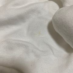 綺麗　D アルパカショートパンツ　の画像