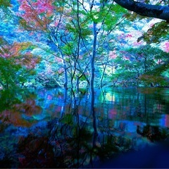 カメラ仲間募集