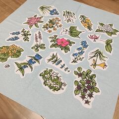 六花亭　ふろしき