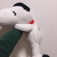 スヌーピー縫いぐるみの画像