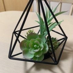 ニトリ　卓上観葉植物の画像