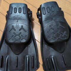 コンパクトフィンの画像
