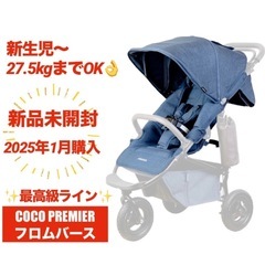 【新品未開封/2025年1月購入/価格相談OK/限定色/最上位ラ...