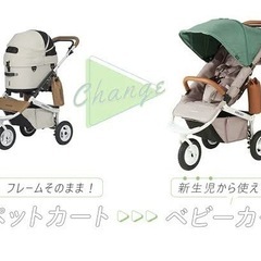 【新品未開封/2025年1月購入/価格相談OK/限定色/最上位ライン】エアバギー　ココプレミア　着せ替えセットの画像