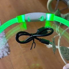 夜間散歩用首輪　LEDライト　点灯と2種類の点滅 外径18センチ　充電コード付きの画像