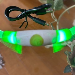 夜間散歩用首輪　LEDライト　点灯と2種類の点滅 外径18センチ　充電コード付きの画像