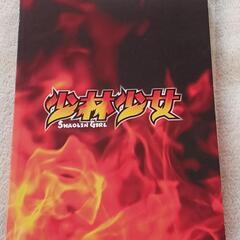 ＤＶＤ『少林少女』