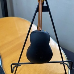 ミニチュアのエレオベイションの画像