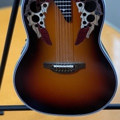 ミニチュアのエレオベイションの画像