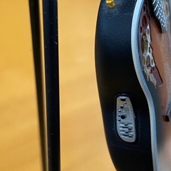 ミニチュアのエレオベイションの画像