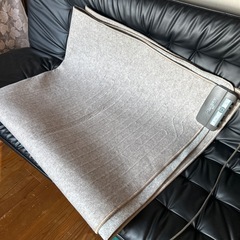 ホットカーペットの画像