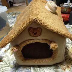 うさぎさんのお家🍀