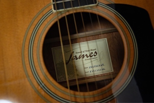 【セール中】James JD400NT セミハードケース付