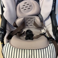 combi スゴカルα 4キャス エッグショックの画像
