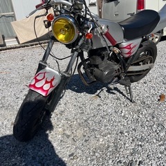 エイプ50
の画像