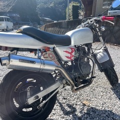 エイプ50
の画像