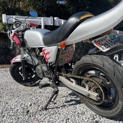 エイプ50
の画像