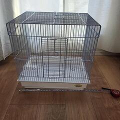 ケージ